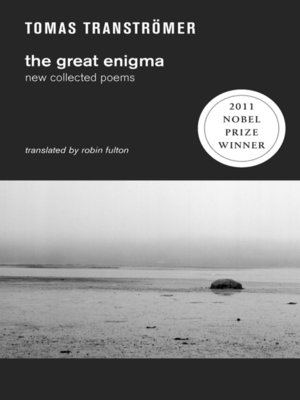 cover image of The Great Enigma